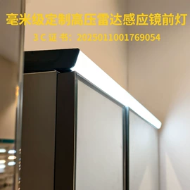 水底灯;其他室内灯具;LED装饰灯