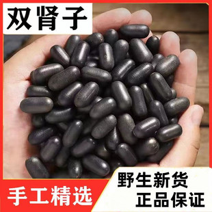 �V��Ұ���p�I����ș���ؼ��Ϲ���؛�����ݾ��Ͽɴ��L��������