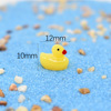 B.Duck, small accessory with accessories, jewelry, resin, duck, handmade, micro landscape