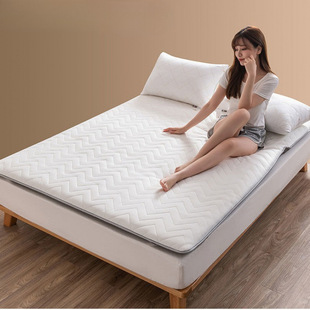 Newly Upgraded Latex Mattress Hotel Tatami Sleeping Mat Double Mat Foldable B&B Mattress Wholesale