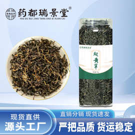 赶黄草 嫩叶无沙罐装赶黄草叶代用茶袋泡茶亳州养生茶 花草茶批发