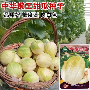 ���A������ϷN�Ӹ��Ǒ�������ϷN���r�Ҹ߮a�����챡Ƥ��ϑНh