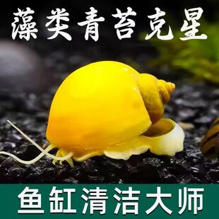 ������坍�~�S�����~�Ꭷ�^�p�~��̦�������~�~�׳���С�͹����~