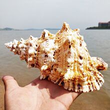 ݚ̖[ؐˇƷؐҾ~쾰Lllw֮