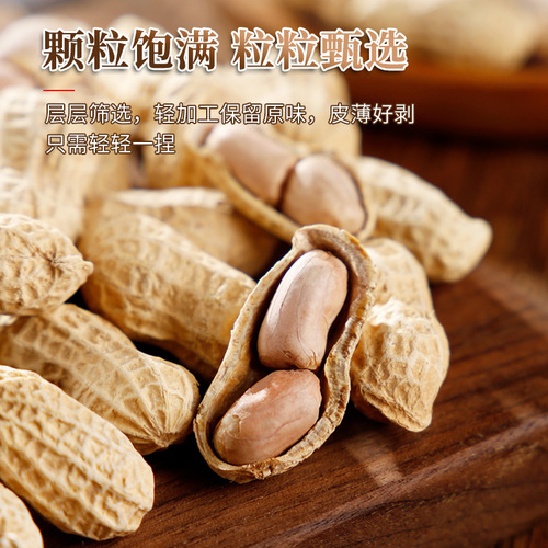 Caramel-flavored seed bag, original peanuts bulk snacks New Year food snacks nuts dry fruits roasted snacks wholesale manufacturer