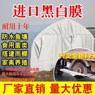 �ڰ�Ĥ���ϲ��Ӻ�����B�u���Bֳ������ꖷ���N�����ϲ��������w