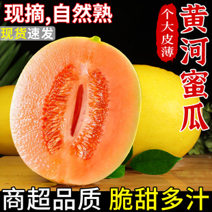 ����S������Ϯ������rˮ��ɳĮ�S���۹Ϲ��ܹϴ��������������