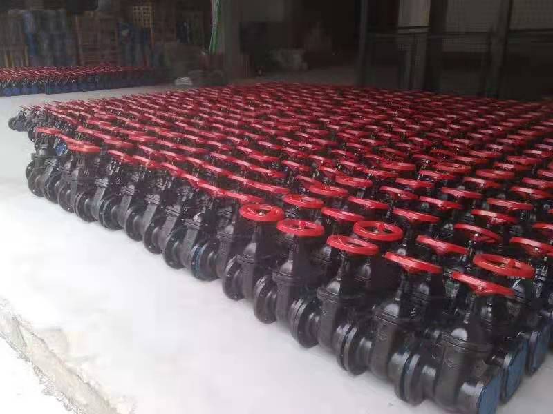 6285f6379eb7959a5150c2daefc92e