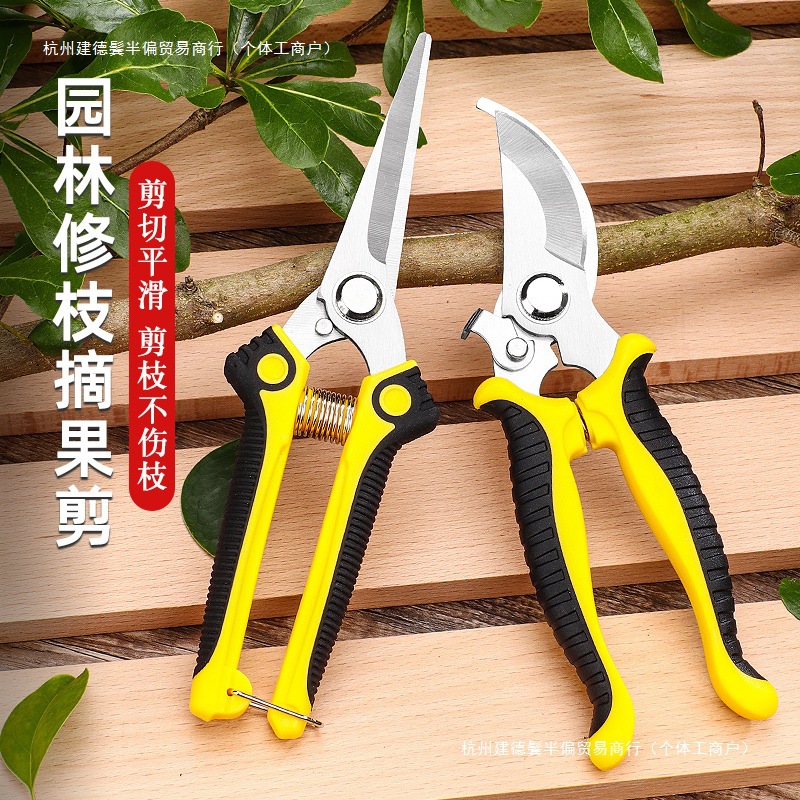 花剪枝园艺剪刀修枝剪省力修剪树枝果树竹签园林花卉花艺剪子