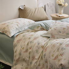 2025�����¿���@С����С�黨13376�Ӻ��K�������ļ���