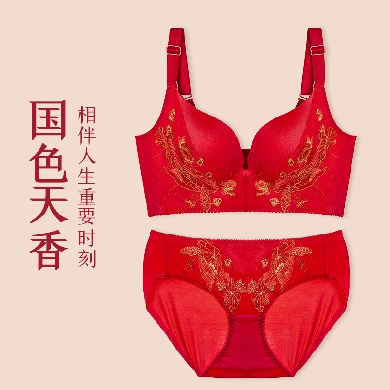 [세트] 내셔널 컬러와 천상의 향기 세트