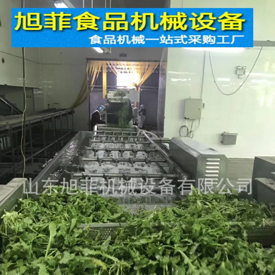 荠菜加工生产线   叶菜类净菜加工设备  山野菜蕨菜加工流水线