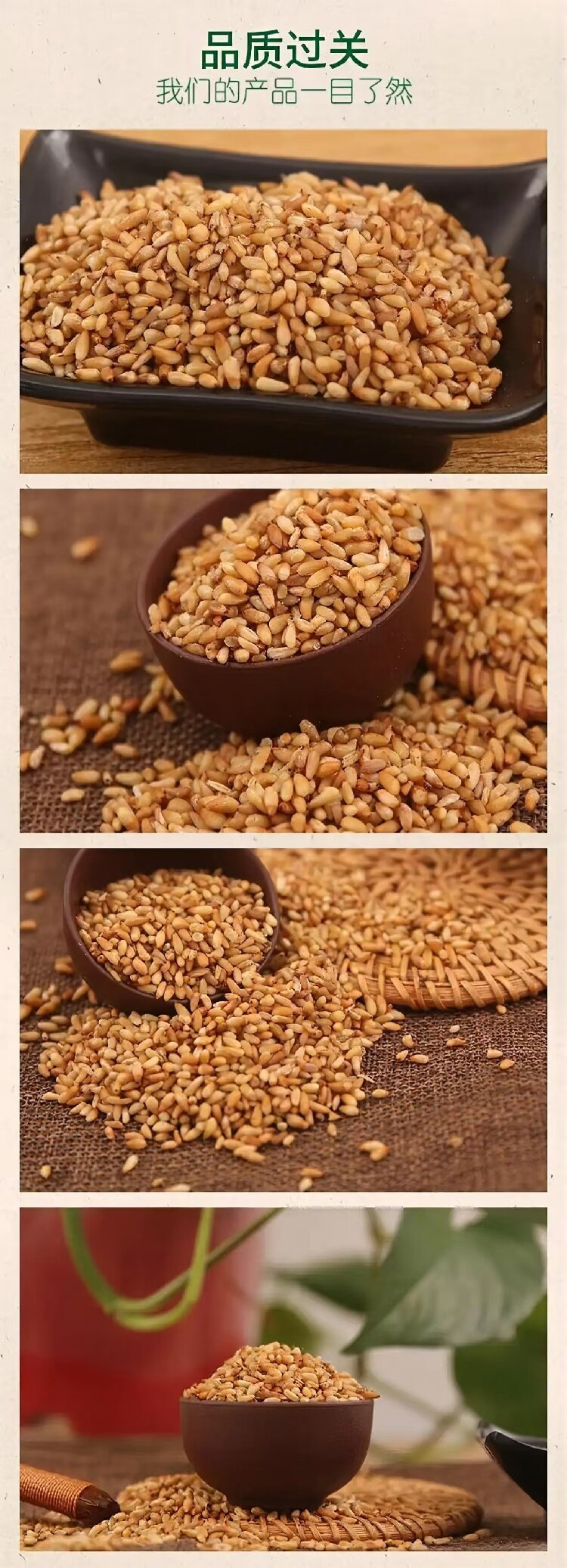 Bai Zi Ren (Platycladus orientalis) — Dried Arborvitae Seed for Tea & Congee quality and texture