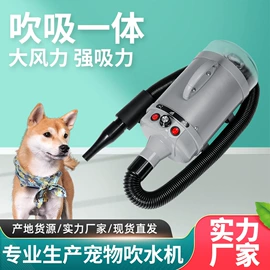 宠物吹水机