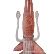 ���\���~���~�������ϸ�ֲ;���������|���޶��ձ���������