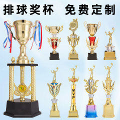 バレーボールのトロフィーは青少年の子供のスポーツバレーボールの試合のアイデアをカスタマイズします。