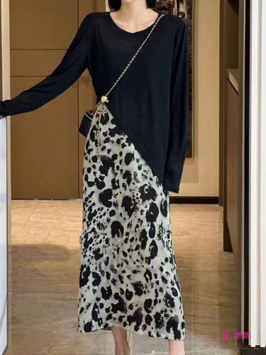 Spring Set Women's 2025 New Fashion Asymmetrical Sun Protection Long Sleeve Top Leopard Print Skirt European Style Two-Piece Set