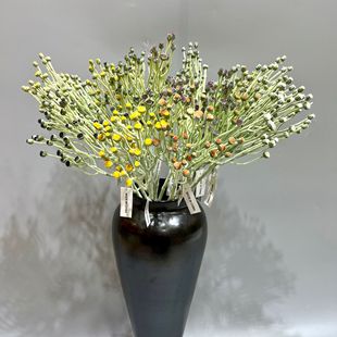 ��c���ϻ��M����ֲ�������ķ���ʯ�^�����Q�b�Ʒ���ǻ����l