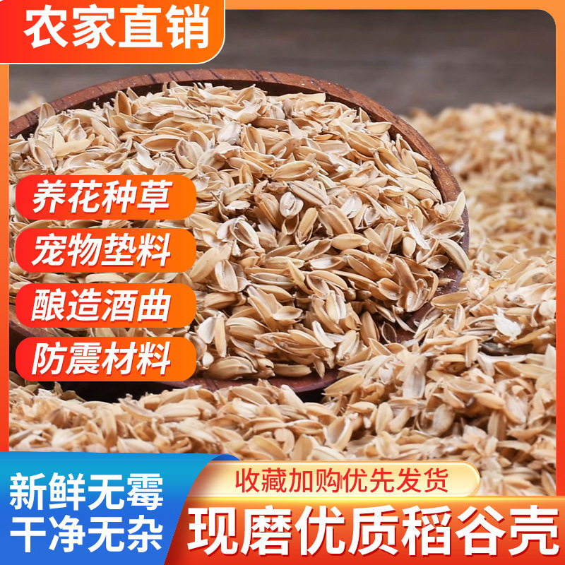 49298cc2-ef7e-4234-9629-df31cf843778.jpe