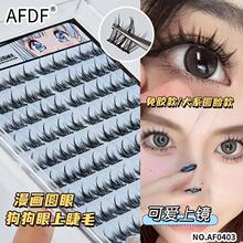 AFDF���z�ٽ�ë���֑�����ճ��Ȼ������������؈���`���¼ٽ�ë