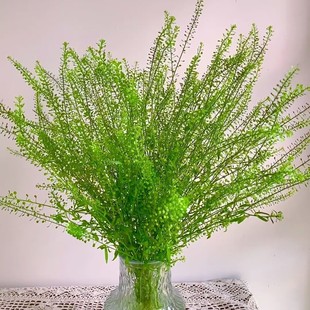 �G�ֲ������������ֱ���l�Gֲ���ñ����G�~���仨��c�û��廨�F