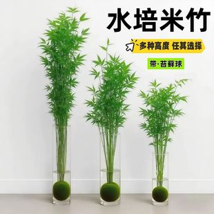 ����^�����������Pβ��������}�bGֲ���B�҃�������~���F��