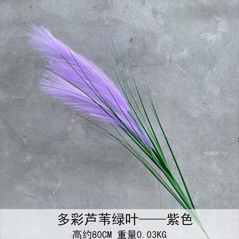 Caña hierba simulación de flores Cai Guoqiang Fuegos artificiales Caña Fuegos artificiales diurnos Fuegos artificiales diurnos Caña Fuegos artificiales