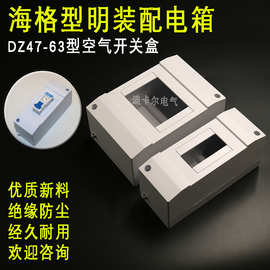 PZ30配电箱 海格型1/2P4回路明装空开盒C45断路器漏保开关盒HAGER
