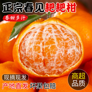 �Ĵ��ҰҸ̕r�����r�Fժˮ��5�ﮔ�����ڴ�Ҋ�ҰҸ̮a��ֱ�l