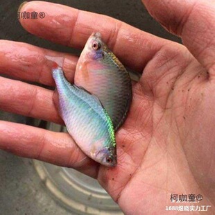 �~���~���BȺ��ˮ�Ի���ˮ��Сԭ�����~�^�p��Ƥ���ͺ��^�p��̫��