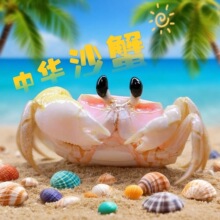 ��B�t���挙��Wɳз��B���A�з�з���bɳз�����Ȍ���Сɳз