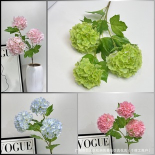 3�^�ָб���ľ����廨������滨�͏d�����b[�Ž����ٻ�ѩ��