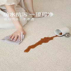 防水抗污奶油風硅藻絲地毯抑菌極簡客廳房間臥室輕奢高級易打理毯