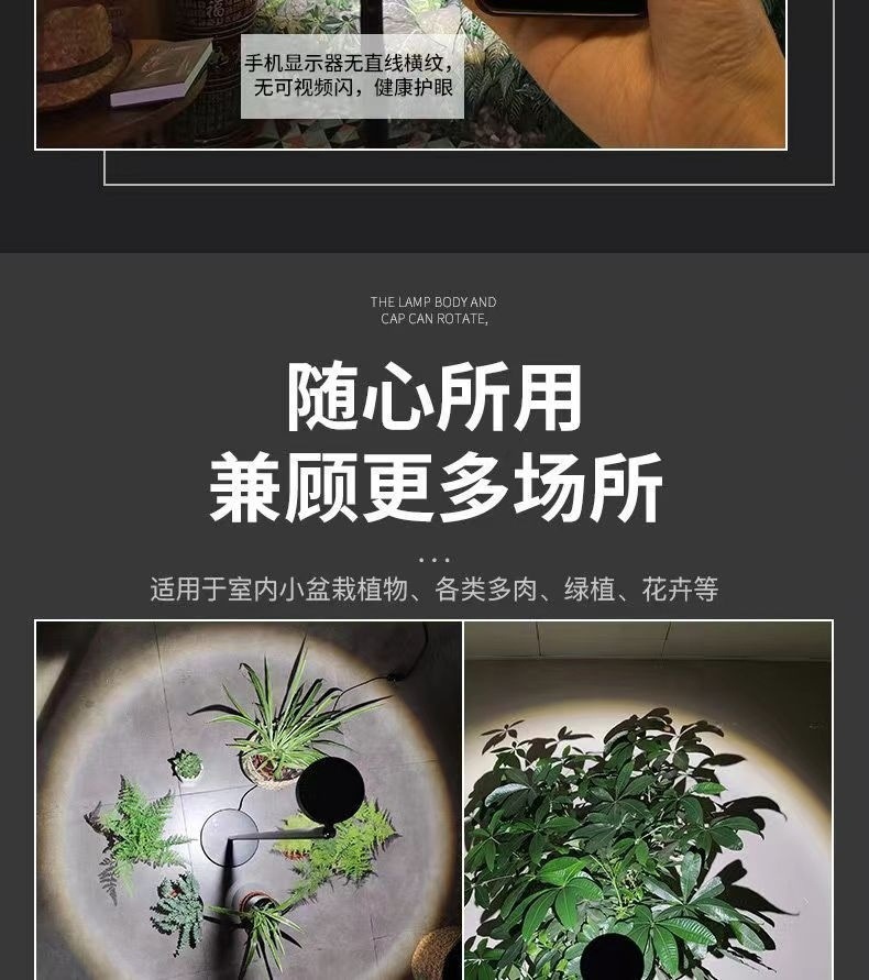 3b22c868-c848-44eb-abc5-85f15f473253.jpe