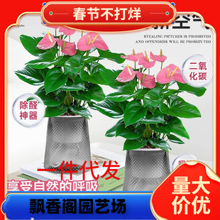 һ�����l����ˮ��ֲ���҃Ⱥ��B����С���ԾGֲ�r�����׻��ļ��_��