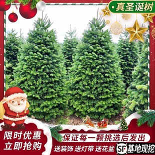 С������2025���}�Q���Zؐ�����}�Q���ɴ����¿��}�Q���ɼ���