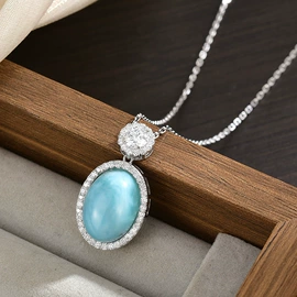 胸针;耳钉;项链