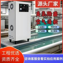 大型臭氧发生器100G氧气源泳池工业空间养殖桶装水水箱杀菌消毒器