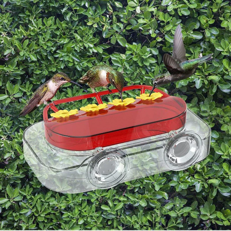 Кормушка для колибри Window Hummingbird Feeders Новый присоска Кормушка для колибри