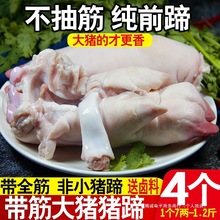 ������i�����i�������i�i�����r�i�փ�Ʒ�i�_���r�i��4����b�o