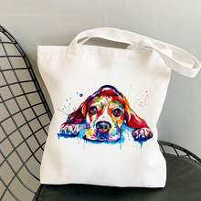 �ȸ�ȮBeagle dog Yogaӡ��������ԭ�޵����ѧ��ʱ�����Ṻ���
