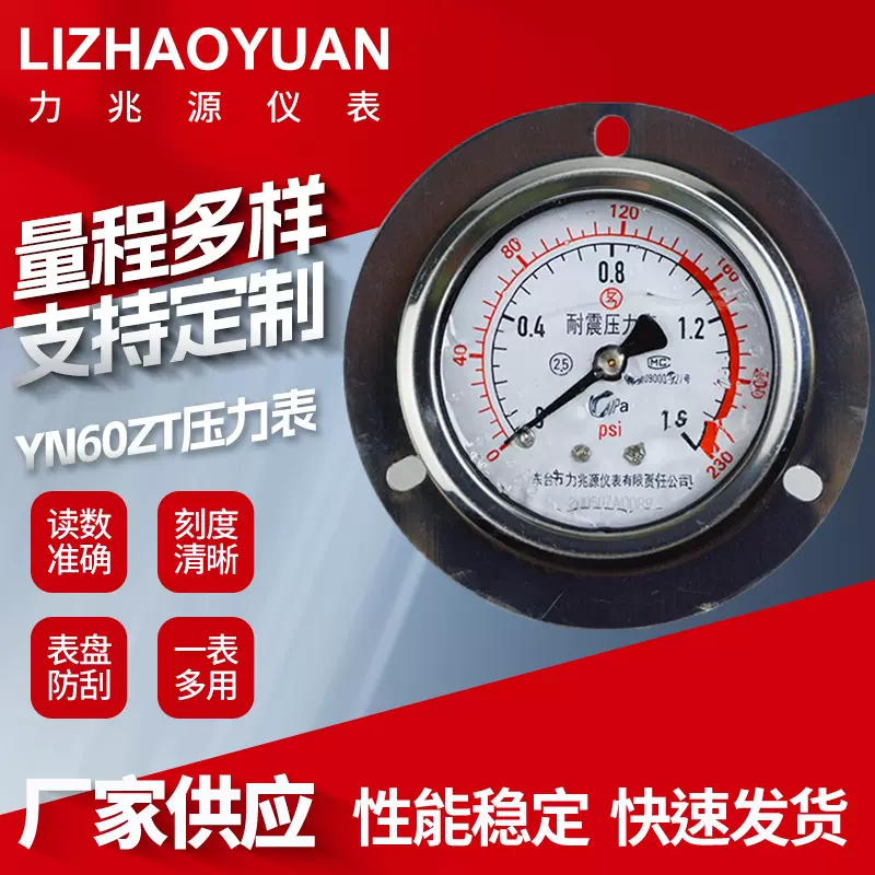 力兆源仪表YN60ZT轴向带边耐震压力表充油M14*1.5水气油压液压表
