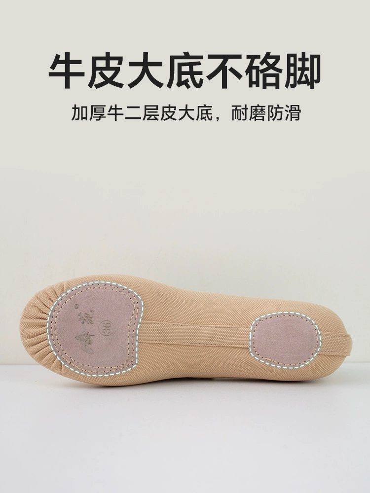 Elastic ballet shoes, footwear, wholesale