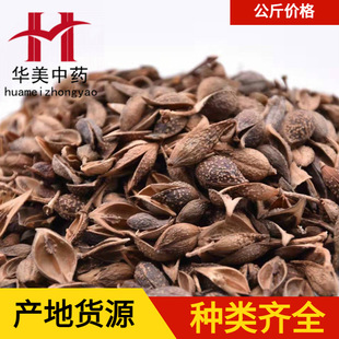 �B�N1000�� �A����ș ��ș�����l�F؛���� ���N ��؛����ă�