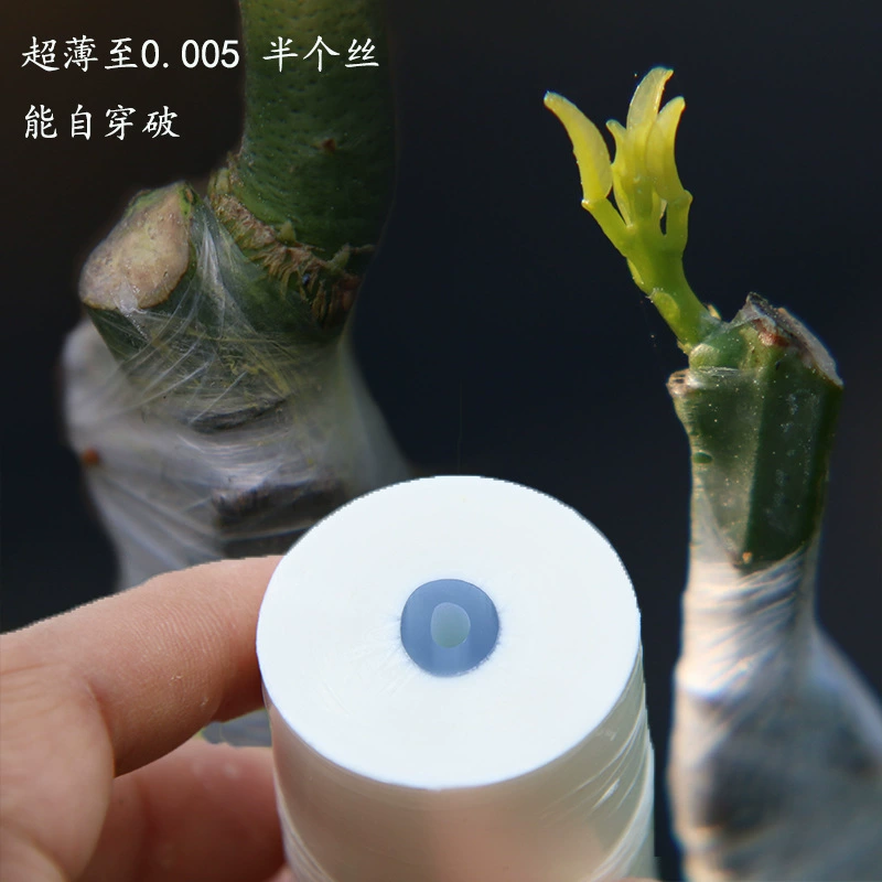 Пленка для прививки PE, узловая пленка для прививки, лента для обмотки саженцев фруктовых деревьев, не самоклеящаяся пленка оптом