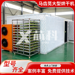 �R�X�{��əC ��ș���R�X���R��˺�ɷ� �՚����R�X�{Ұ�˺濾��