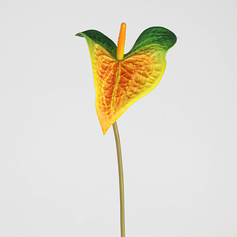 EVA 스몰 사이즈 Anthurium [오렌지 옐로우 그린]]