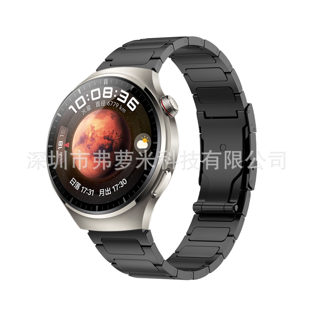 Hebilla tortuga Negro