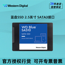 WD�������ݹ�̬Ӳ��250G 500G 1T 2T 4T����SATA3����Blueϵ��SSD