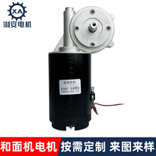 微型有刷电机多功能家用商用揉面机和面机直流小马达厂家直销